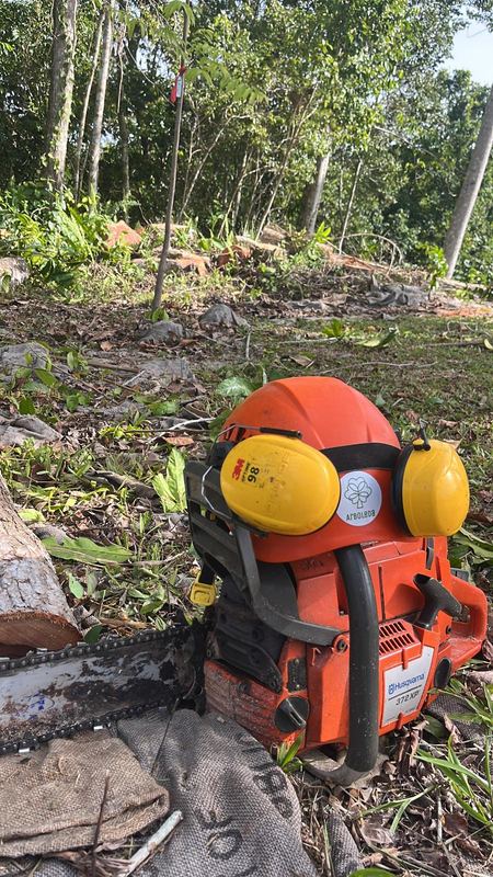 Full safety gear, every job - Puerto Rico Tree Services