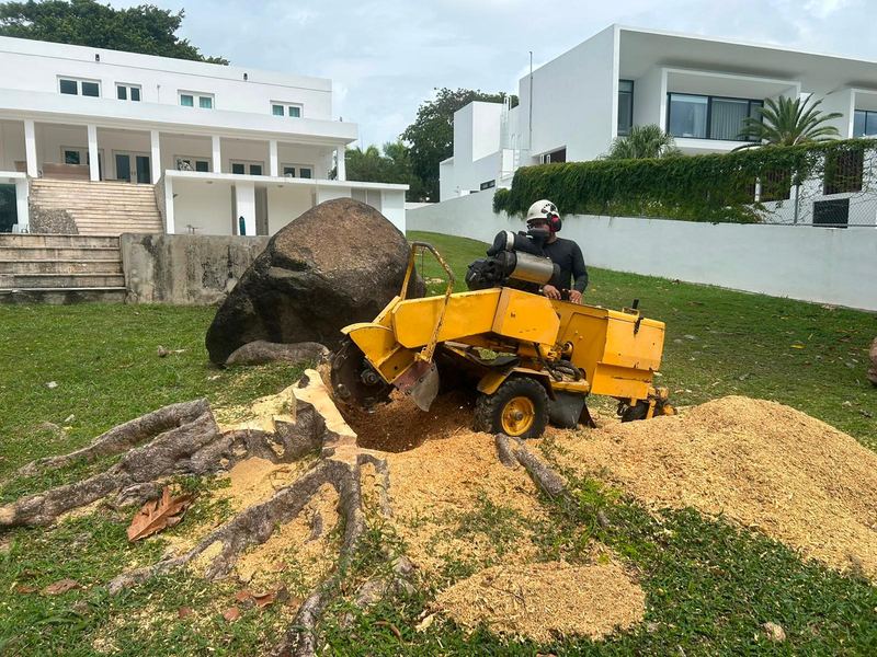 Grinding a stump flush at a modern home - Puerto Rico Tree Services